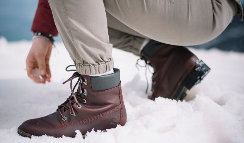 timberlands in snow