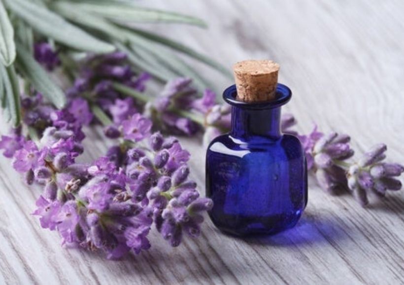 Crimean Lavender Essential Oil