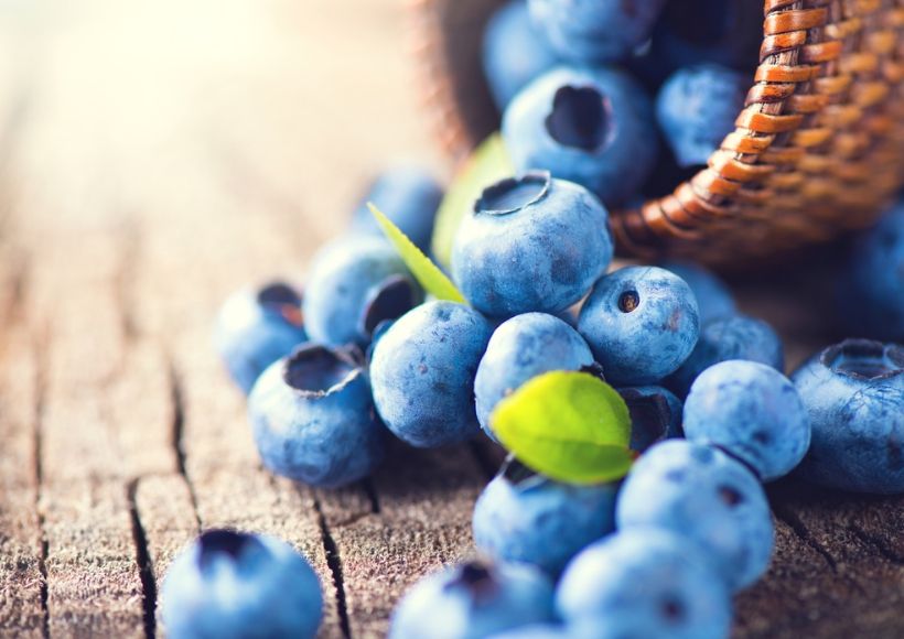 Blueberry And Antioxidant