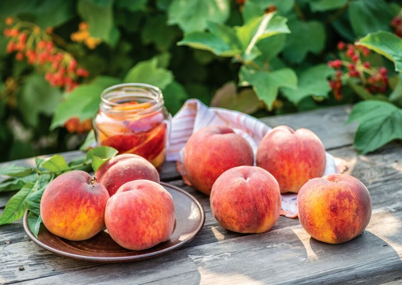 Peach, A Tasty And Beauty 
