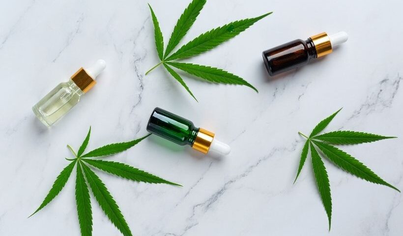 Cannabis Oil, Hemp Oil, And CBD Oil