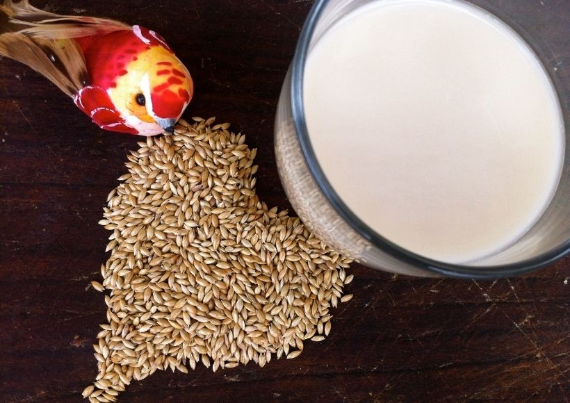 Canary Seed Milk