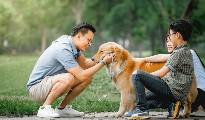 Benefits of playing sports with your pet